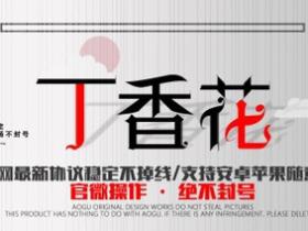 丁香花 云端2020新品