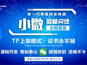 苹果小微 2022新品