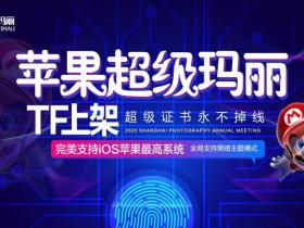 苹果超级玛丽 TF签名不掉签