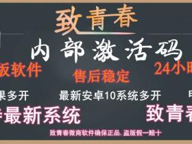 致青春激活码商城