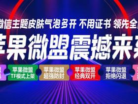 TF上架 苹果微盟