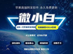 微小白 苹果版  已退市停码  推荐苹果云微