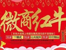 苹果微商红牛 TF上架