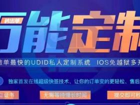 苹果万能定制 支持闲鱼多开 淘宝多开等