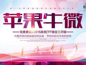 苹果牛微