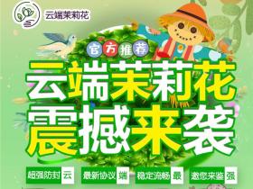云端茉莉花
