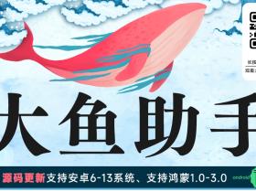 大鱼助手