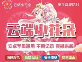 云端小花朵