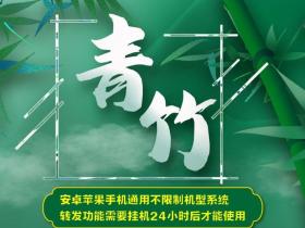 云端青竹