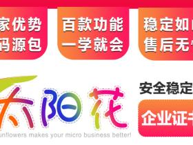 苹果太阳花