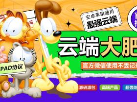 云端大肥猫
