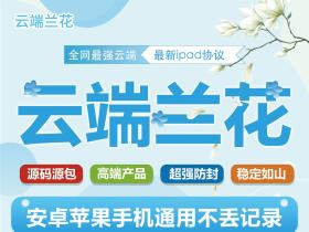 云端兰花【原百合 桃花云】