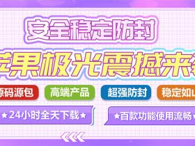 极光微商