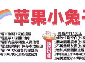 苹果小兔子