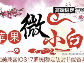 苹果微小白