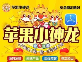 苹果小神龙
