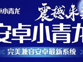 安卓小青龙