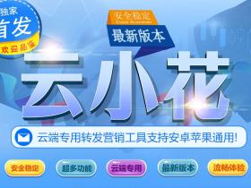 云端云小花